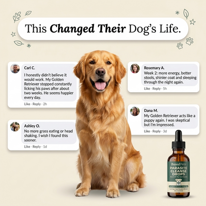 Based Cleanse Drops