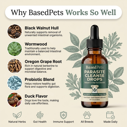 Based Cleanse Drops